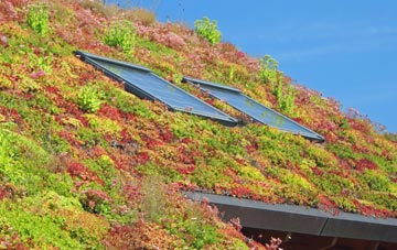 Kirriemuir living roof systems